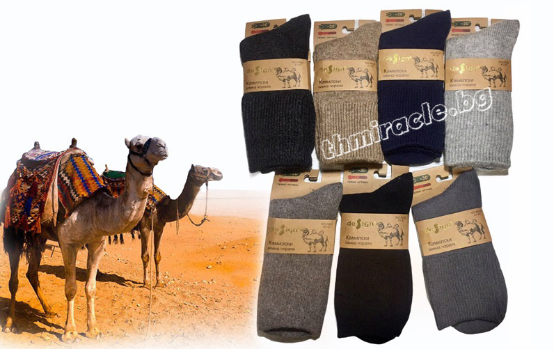 Мъжки чорапи от Камилска вълна